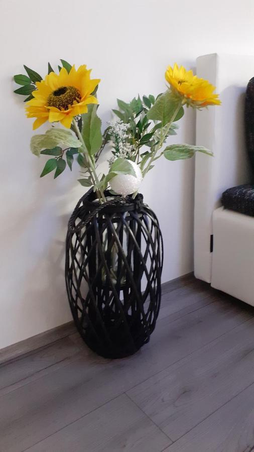 Apartmani Polanscak Krapinske Toplice Extérieur photo